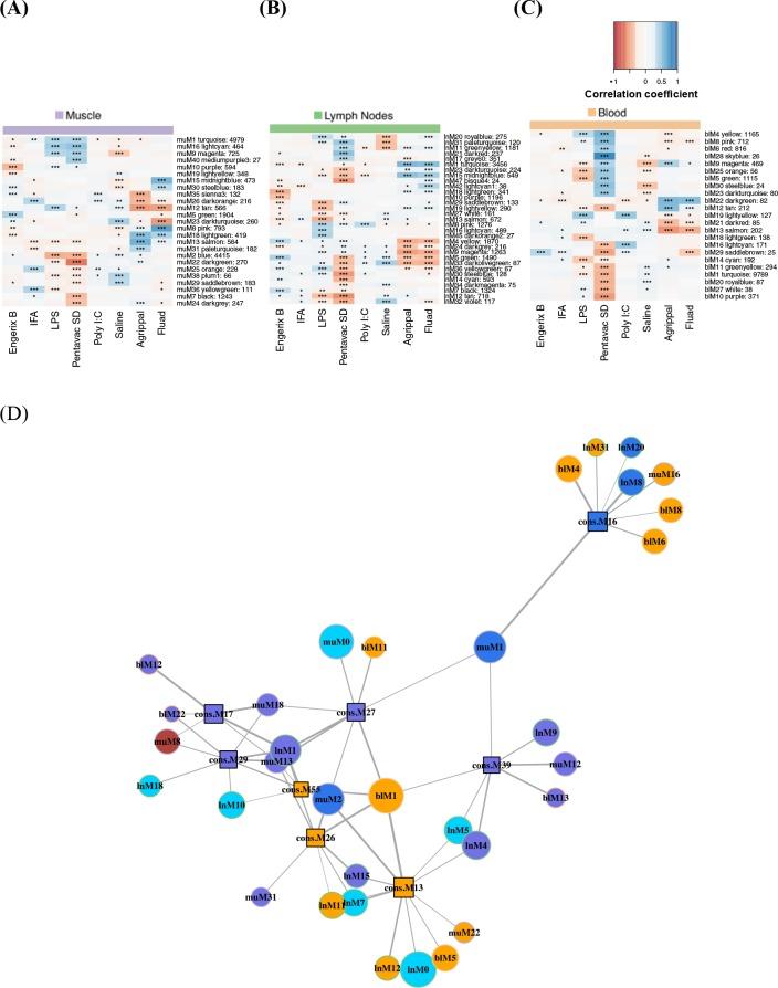 https://cdn.ncbi.nlm.nih.gov/pmc/blobs/c6df/6555592/515ff9375221/elife-46149-fig3-figsupp1.jpg