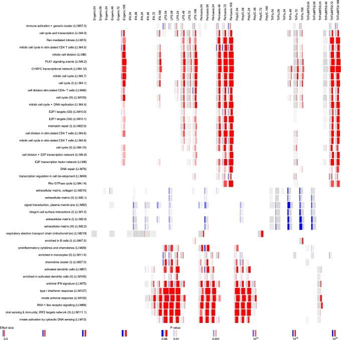 https://cdn.ncbi.nlm.nih.gov/pmc/blobs/c6df/6555592/8dcb4e121b5c/elife-46149-fig2-figsupp2.jpg
