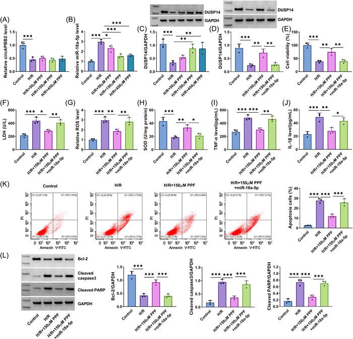 https://cdn.ncbi.nlm.nih.gov/pmc/blobs/c6e2/10408373/2fde738b19db/IID3-11-e952-g005.jpg