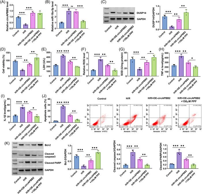 https://cdn.ncbi.nlm.nih.gov/pmc/blobs/c6e2/10408373/596240e6689d/IID3-11-e952-g001.jpg