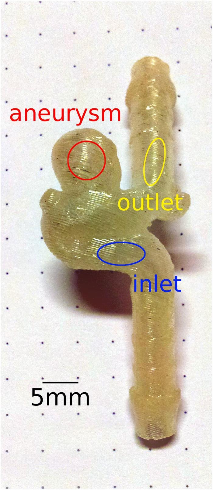 https://cdn.ncbi.nlm.nih.gov/pmc/blobs/c6e3/4975468/87e86c053d3f/pone.0160097.g001.jpg