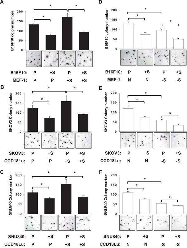 https://cdn.ncbi.nlm.nih.gov/pmc/blobs/c6e4/5029678/a33933eefc00/oncotarget-07-23975-g005.jpg