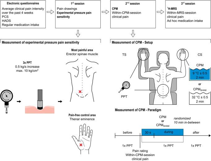 https://cdn.ncbi.nlm.nih.gov/pmc/blobs/c6e7/12168810/a30c0bb1d069/jop-166-1690-g001.jpg