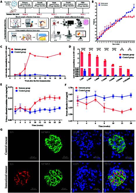https://cdn.ncbi.nlm.nih.gov/pmc/blobs/c6e8/12131845/45bfeefea212/research.0722.fig.005.jpg