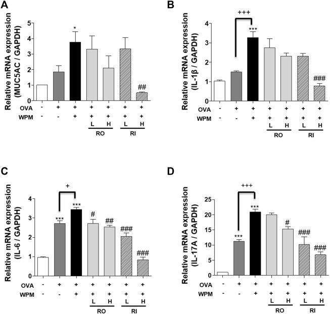 https://cdn.ncbi.nlm.nih.gov/pmc/blobs/c6e9/9274115/0e928a509bda/fphar-13-925502-g006.jpg