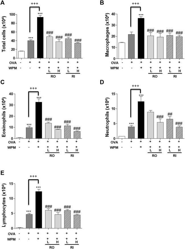 https://cdn.ncbi.nlm.nih.gov/pmc/blobs/c6e9/9274115/c52b9c46c126/fphar-13-925502-g003.jpg