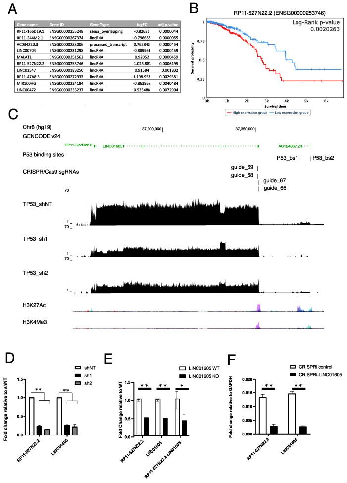 https://cdn.ncbi.nlm.nih.gov/pmc/blobs/c6ea/10531163/cfd315e345a2/ijms-24-13736-g002.jpg