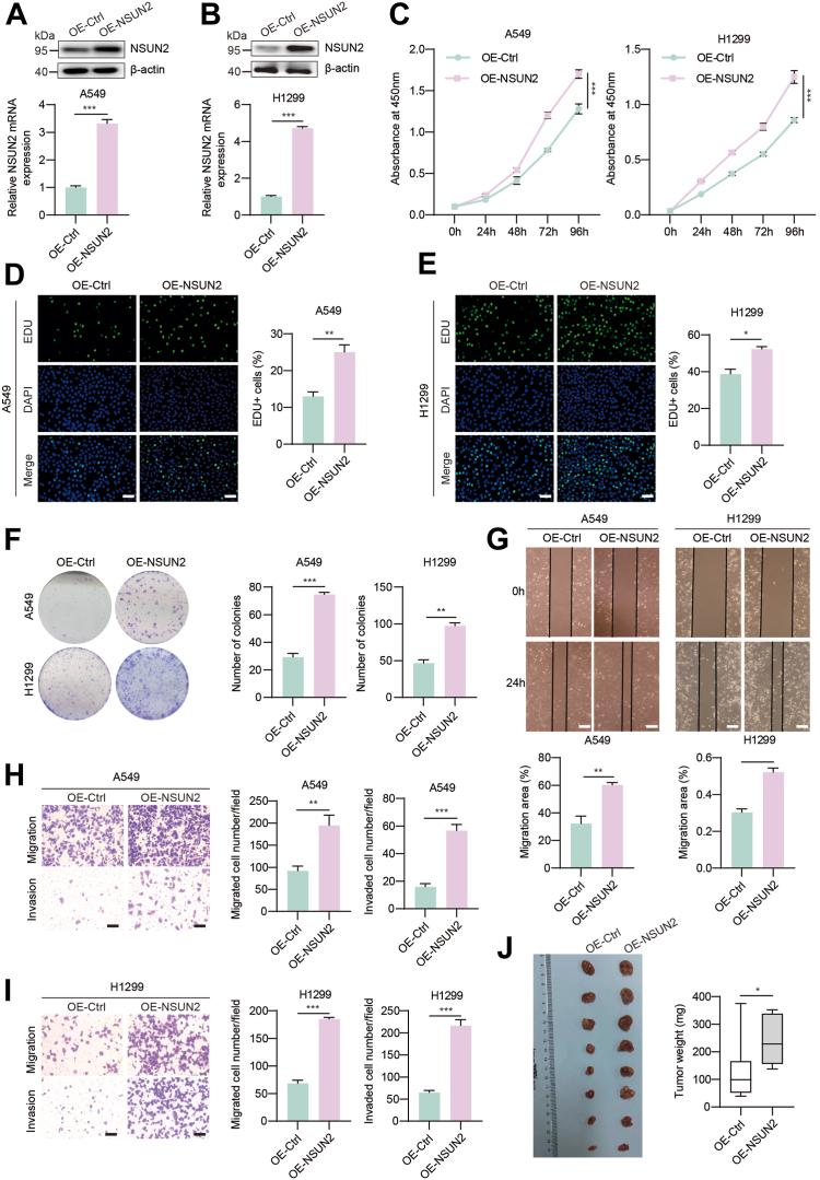 https://cdn.ncbi.nlm.nih.gov/pmc/blobs/c6eb/11065752/3fdc54600eac/gr3.jpg