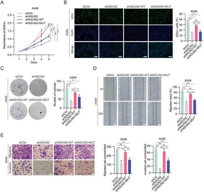 https://cdn.ncbi.nlm.nih.gov/pmc/blobs/c6eb/11065752/f72e49431d3c/figs4.jpg
