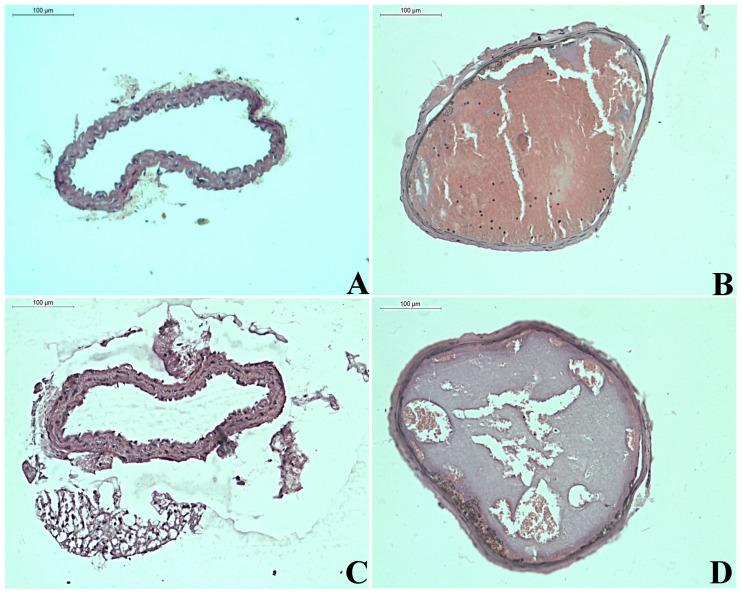 https://cdn.ncbi.nlm.nih.gov/pmc/blobs/c6eb/6474609/ae4bfb913824/pone.0215717.g002.jpg