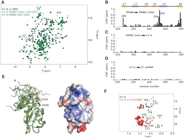 https://cdn.ncbi.nlm.nih.gov/pmc/blobs/c6eb/8216277/7128a99e4c76/gkab135fig4.jpg
