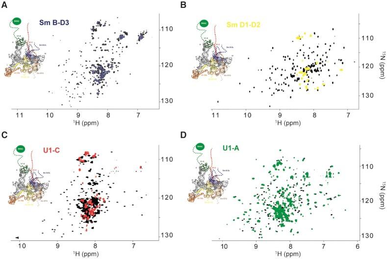 https://cdn.ncbi.nlm.nih.gov/pmc/blobs/c6eb/8216277/9da260fff980/gkab135fig3.jpg