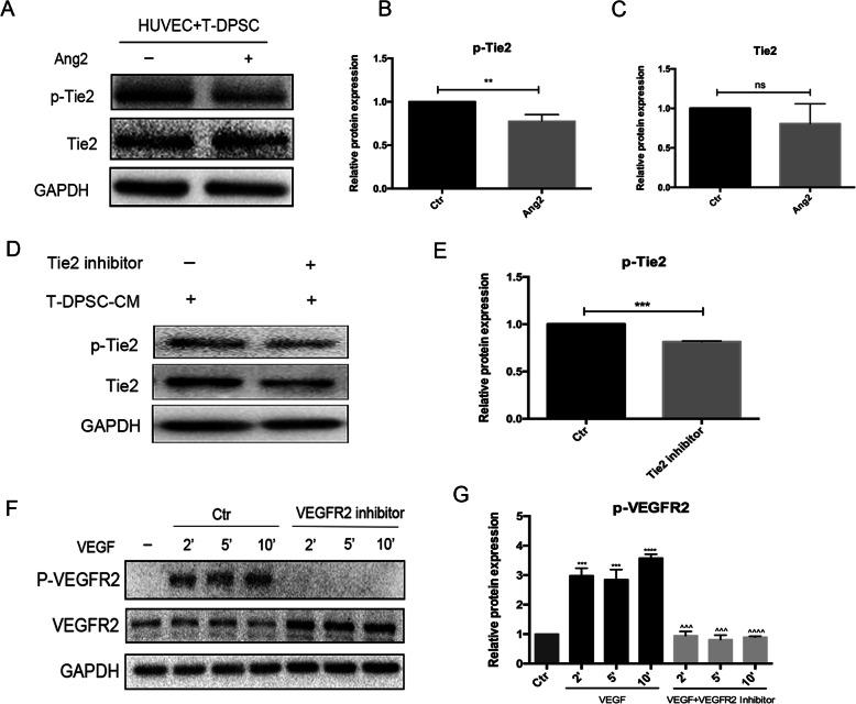https://cdn.ncbi.nlm.nih.gov/pmc/blobs/c6ee/8112067/5cef50cb3e63/13287_2021_2349_Fig8_HTML.jpg