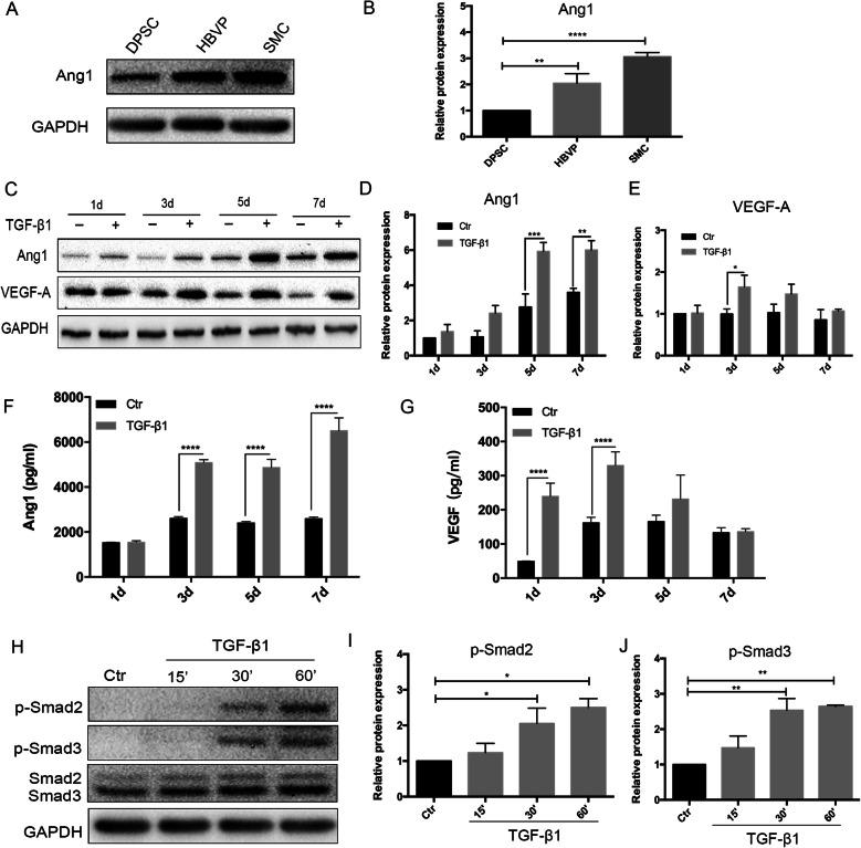 https://cdn.ncbi.nlm.nih.gov/pmc/blobs/c6ee/8112067/8ba73d28300e/13287_2021_2349_Fig4_HTML.jpg