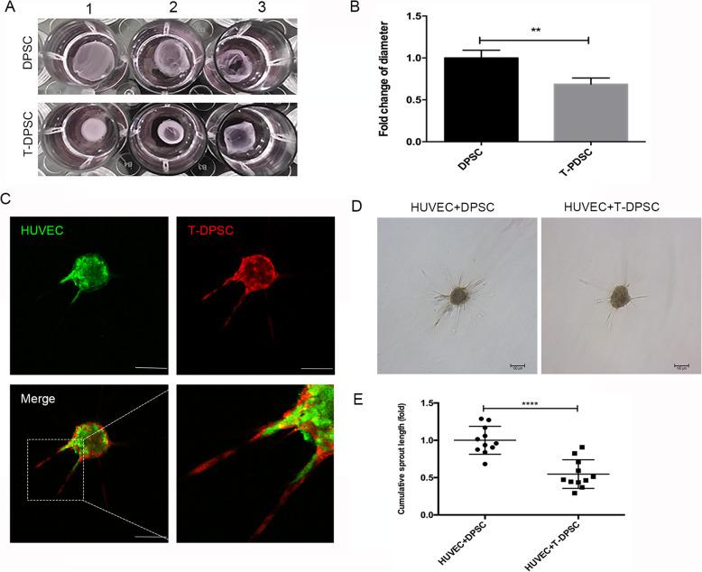 https://cdn.ncbi.nlm.nih.gov/pmc/blobs/c6ee/8112067/912eb07ab5f8/13287_2021_2349_Fig3_HTML.jpg
