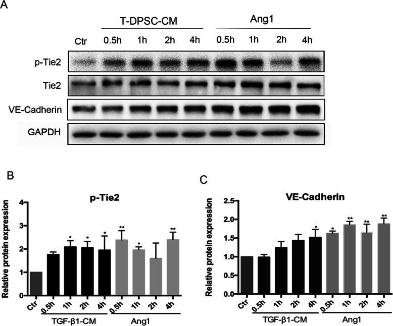 https://cdn.ncbi.nlm.nih.gov/pmc/blobs/c6ee/8112067/bcbddc582ed1/13287_2021_2349_Fig6_HTML.jpg