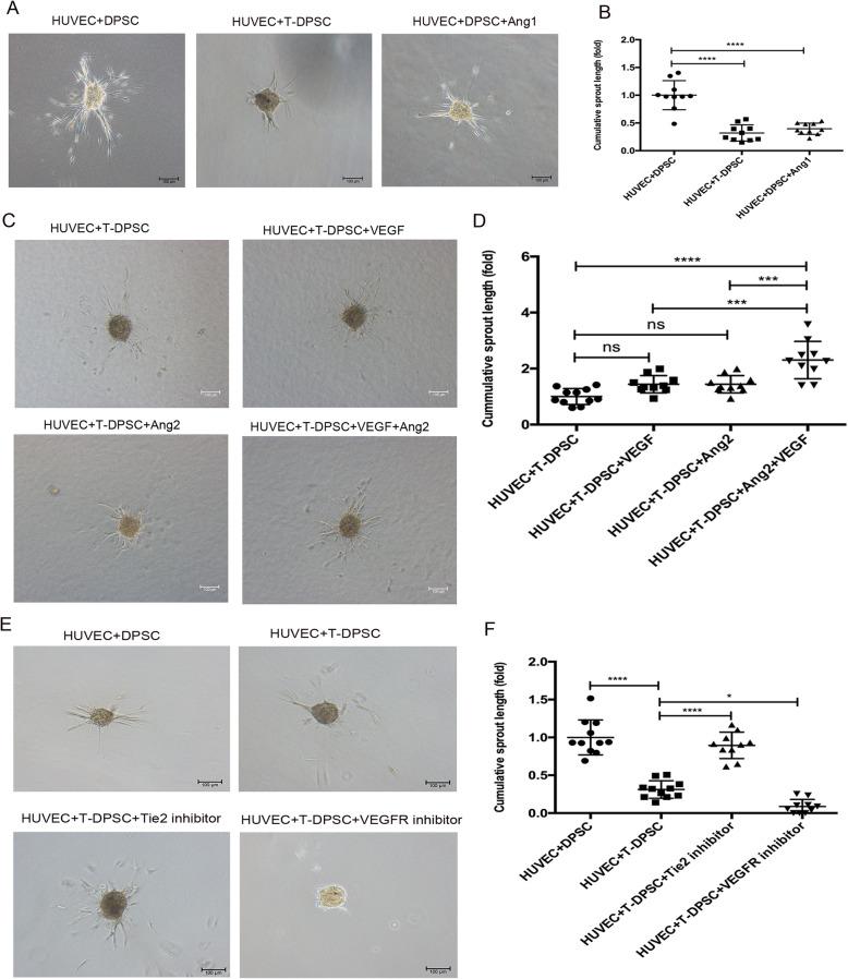 https://cdn.ncbi.nlm.nih.gov/pmc/blobs/c6ee/8112067/bffb7d2b35a9/13287_2021_2349_Fig7_HTML.jpg
