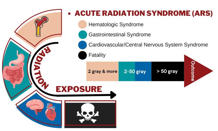 https://cdn.ncbi.nlm.nih.gov/pmc/blobs/c6ef/11222772/51df24fedea5/cureus-0016-00000061627-i03.jpg
