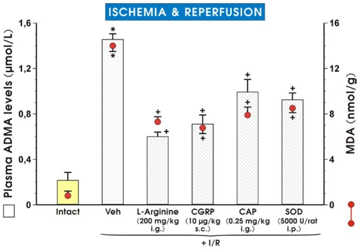 https://cdn.ncbi.nlm.nih.gov/pmc/blobs/c6f1/3975433/d01959011064/ijms-15-04946f5.jpg
