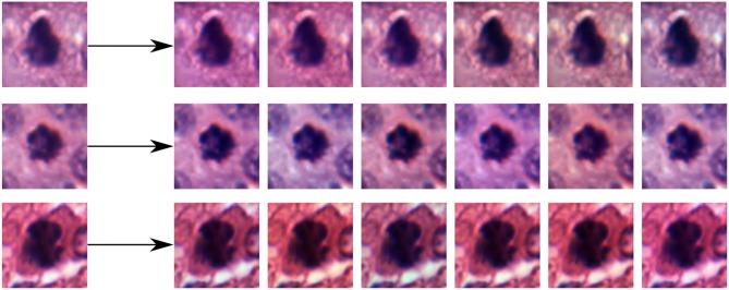 https://cdn.ncbi.nlm.nih.gov/pmc/blobs/c6f4/6716536/34678b10a711/fbioe-07-00198-g0006.jpg