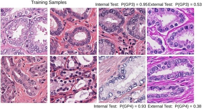 https://cdn.ncbi.nlm.nih.gov/pmc/blobs/c6f4/6716536/3d814e034a0d/fbioe-07-00198-g0001.jpg