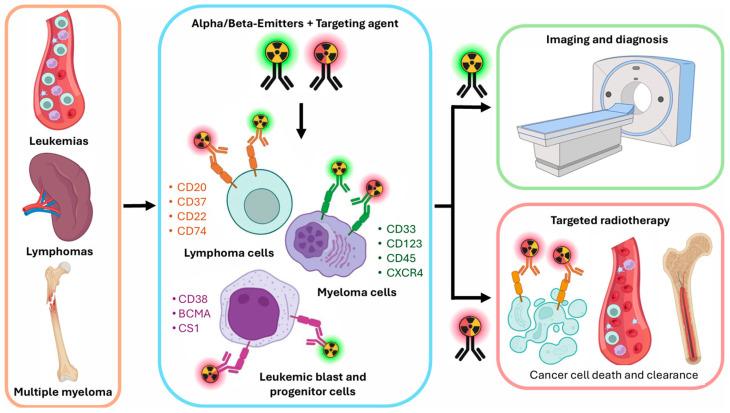 https://cdn.ncbi.nlm.nih.gov/pmc/blobs/c6f5/11987953/bac335fe4dda/cancers-17-01247-g001.jpg