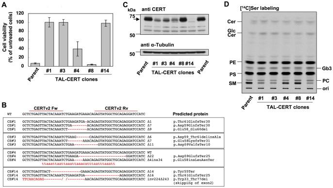 https://cdn.ncbi.nlm.nih.gov/pmc/blobs/c6f6/3912166/618965f19a33/pone.0088124.g004.jpg