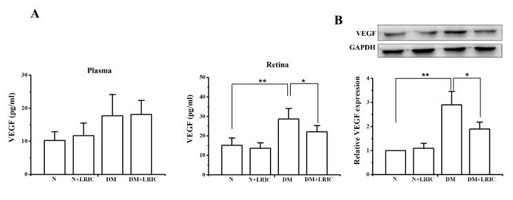 https://cdn.ncbi.nlm.nih.gov/pmc/blobs/c6f7/6284762/23e6e54df456/ad-9-6-1122-g7.jpg
