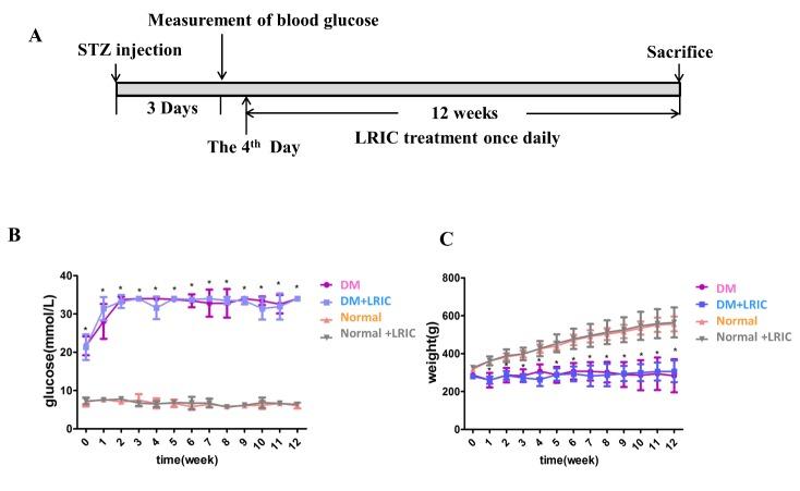 https://cdn.ncbi.nlm.nih.gov/pmc/blobs/c6f7/6284762/80ccbf86d4fe/ad-9-6-1122-g1.jpg