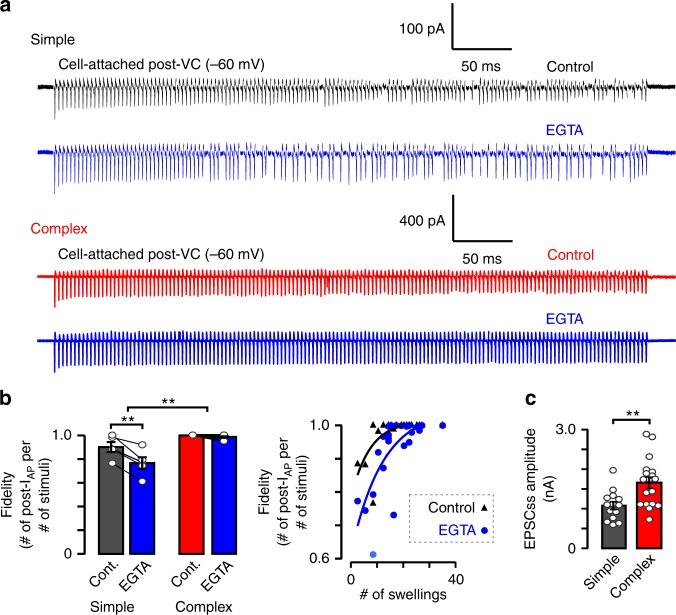 https://cdn.ncbi.nlm.nih.gov/pmc/blobs/c6f7/6379440/944c0f6ae482/41467_2019_8452_Fig7_HTML.jpg