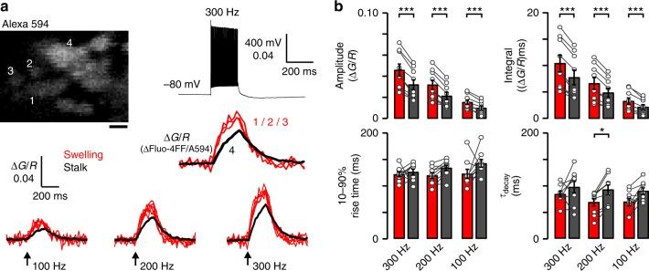 https://cdn.ncbi.nlm.nih.gov/pmc/blobs/c6f7/6379440/b7c9db639cd6/41467_2019_8452_Fig8_HTML.jpg