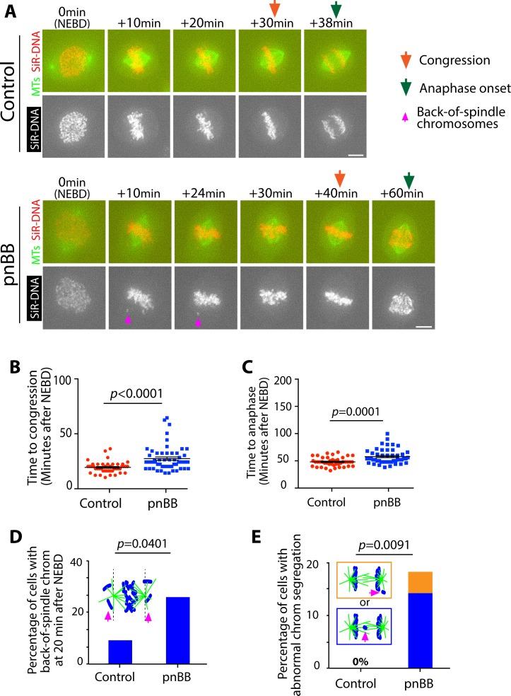 https://cdn.ncbi.nlm.nih.gov/pmc/blobs/c6f9/6634967/1b4090c862d6/elife-46902-fig5-figsupp3.jpg