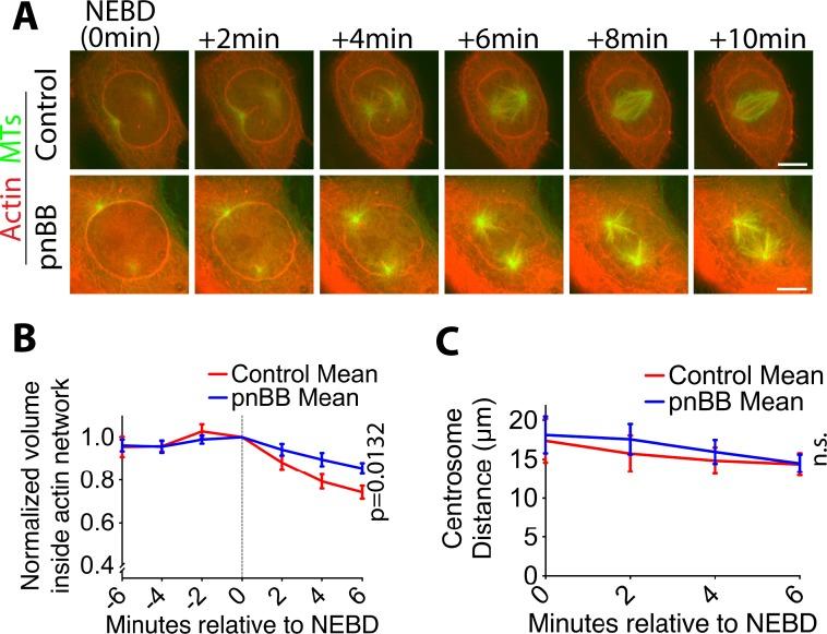 https://cdn.ncbi.nlm.nih.gov/pmc/blobs/c6f9/6634967/cb764271c8f5/elife-46902-fig3-figsupp3.jpg