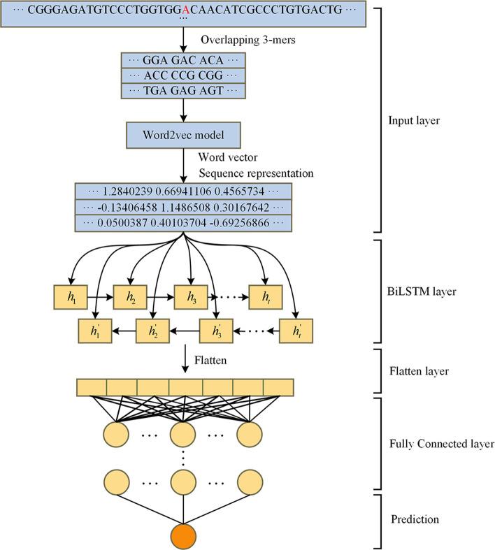 https://cdn.ncbi.nlm.nih.gov/pmc/blobs/c6f9/8164815/56a0f645378e/12859_2021_4206_Fig6_HTML.jpg