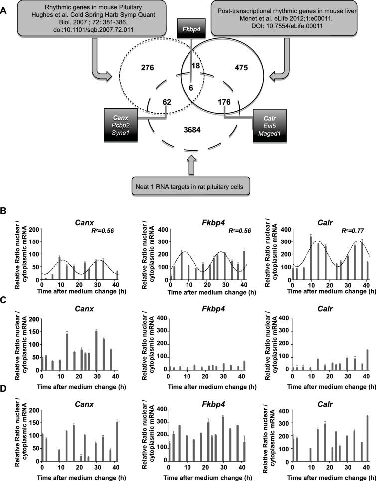 https://cdn.ncbi.nlm.nih.gov/pmc/blobs/c6fa/4987140/08762df0163a/elife-14837-fig6.jpg