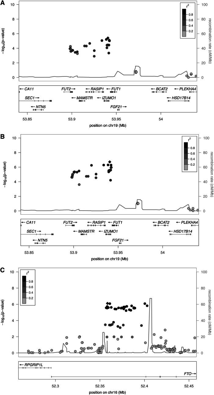 https://cdn.ncbi.nlm.nih.gov/pmc/blobs/c6fc/3652928/97fec1ea6fd2/ajcn9761395fig1.jpg