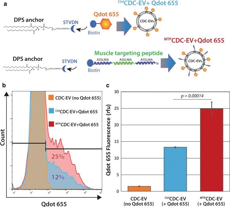 https://cdn.ncbi.nlm.nih.gov/pmc/blobs/c6fd/6116387/220a731529e1/12951_2018_388_Fig3_HTML.jpg
