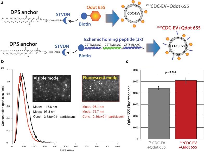 https://cdn.ncbi.nlm.nih.gov/pmc/blobs/c6fd/6116387/3fdd96309e4b/12951_2018_388_Fig4_HTML.jpg
