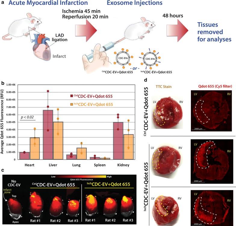 https://cdn.ncbi.nlm.nih.gov/pmc/blobs/c6fd/6116387/6cb8bf7a0f4c/12951_2018_388_Fig5_HTML.jpg