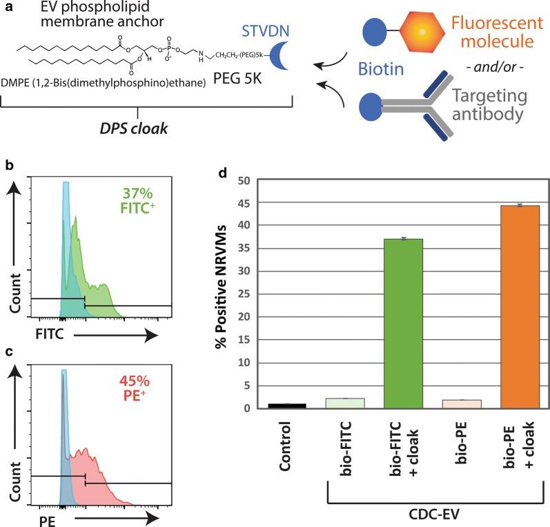 https://cdn.ncbi.nlm.nih.gov/pmc/blobs/c6fd/6116387/a35cddbb1856/12951_2018_388_Fig1_HTML.jpg