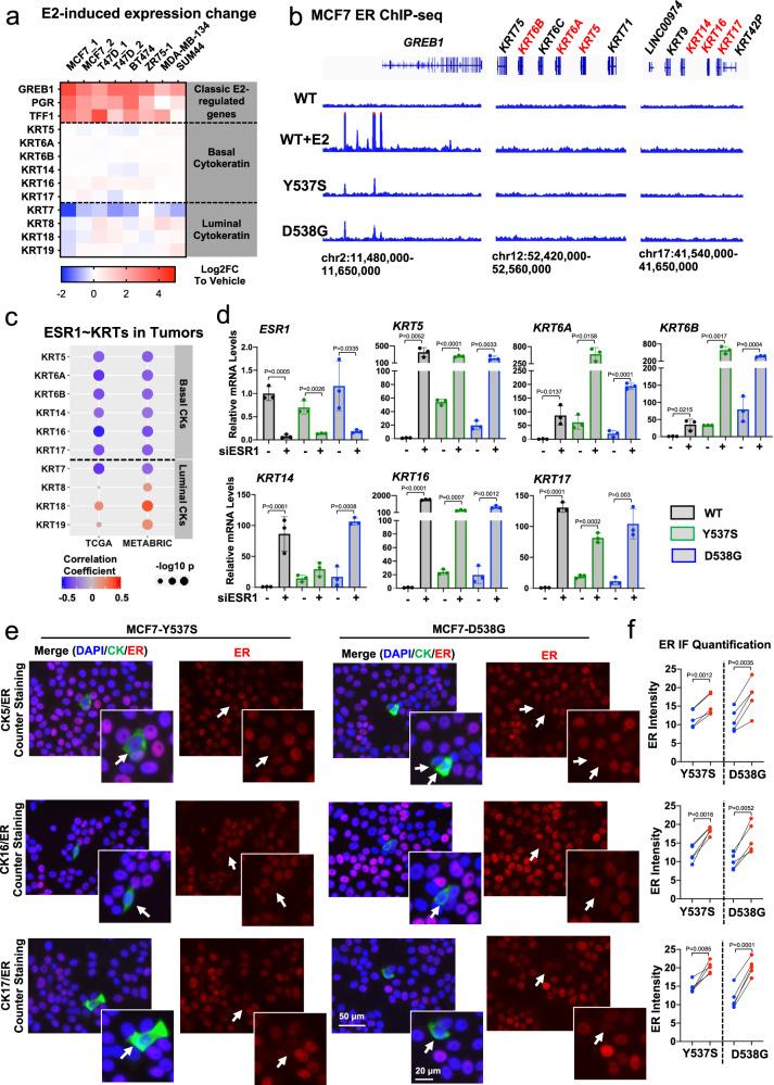 https://cdn.ncbi.nlm.nih.gov/pmc/blobs/c6fe/9019037/2ff525a23490/41467_2022_29498_Fig3_HTML.jpg