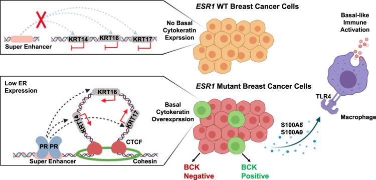 https://cdn.ncbi.nlm.nih.gov/pmc/blobs/c6fe/9019037/6675453c265d/41467_2022_29498_Fig7_HTML.jpg