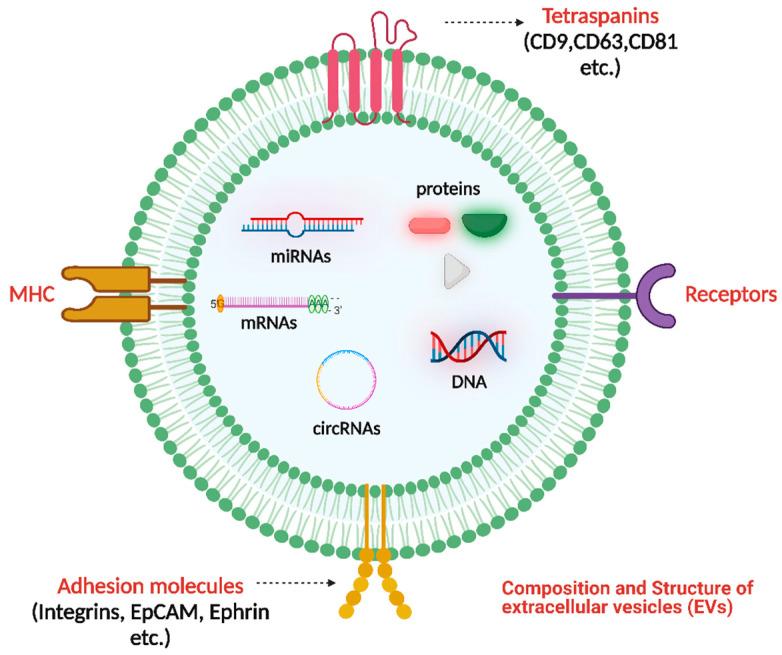 https://cdn.ncbi.nlm.nih.gov/pmc/blobs/c6ff/10537154/ce996742870d/pharmaceutics-15-02173-g001.jpg