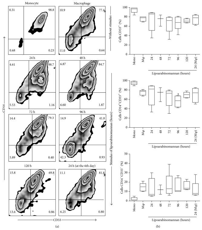 https://cdn.ncbi.nlm.nih.gov/pmc/blobs/c703/4548148/727c30128576/JIR2015-984973.004.jpg
