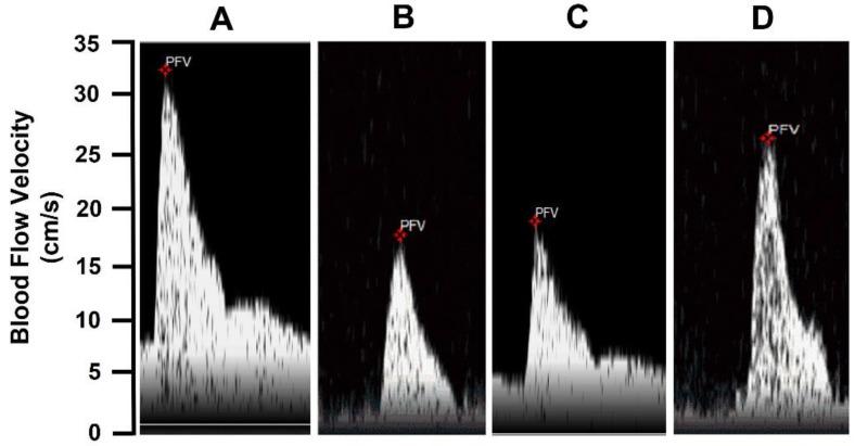 https://cdn.ncbi.nlm.nih.gov/pmc/blobs/c704/9654162/0ba6a5a24148/molecules-27-07218-g005.jpg