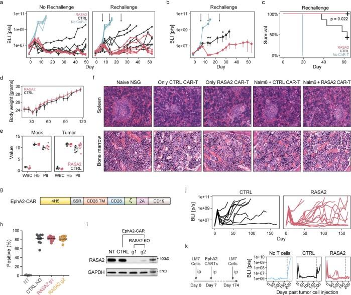 https://cdn.ncbi.nlm.nih.gov/pmc/blobs/c705/9433322/2a1c13155767/41586_2022_5126_Fig14_ESM.jpg