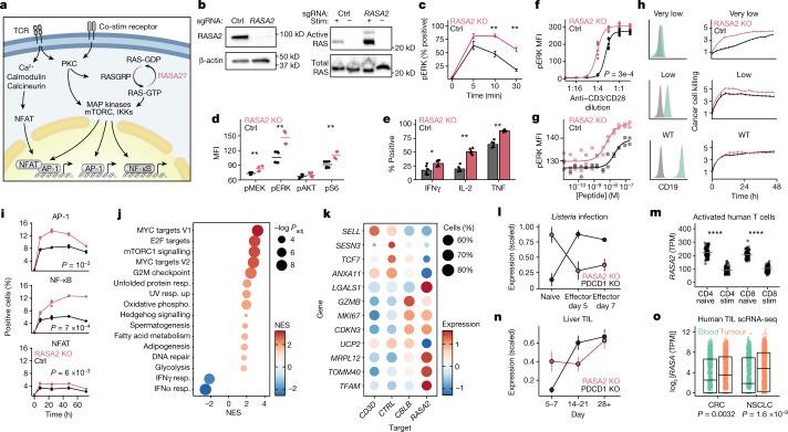 https://cdn.ncbi.nlm.nih.gov/pmc/blobs/c705/9433322/f1170627232f/41586_2022_5126_Fig2_HTML.jpg