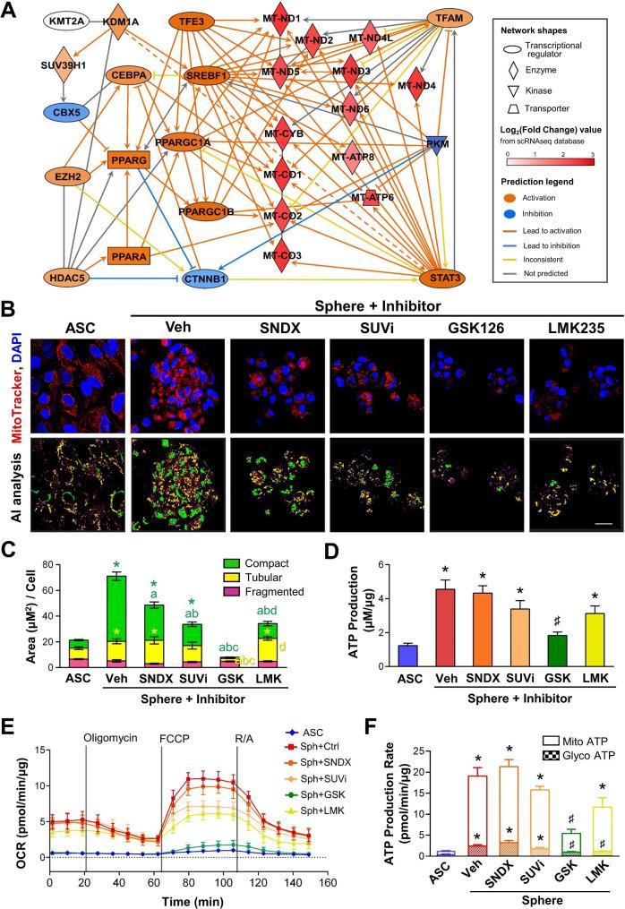 https://cdn.ncbi.nlm.nih.gov/pmc/blobs/c706/11899936/08247f5988cc/13287_2025_4164_Fig4_HTML.jpg