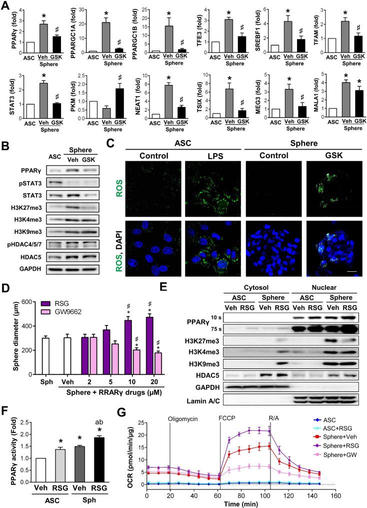 https://cdn.ncbi.nlm.nih.gov/pmc/blobs/c706/11899936/967588b61910/13287_2025_4164_Fig5_HTML.jpg