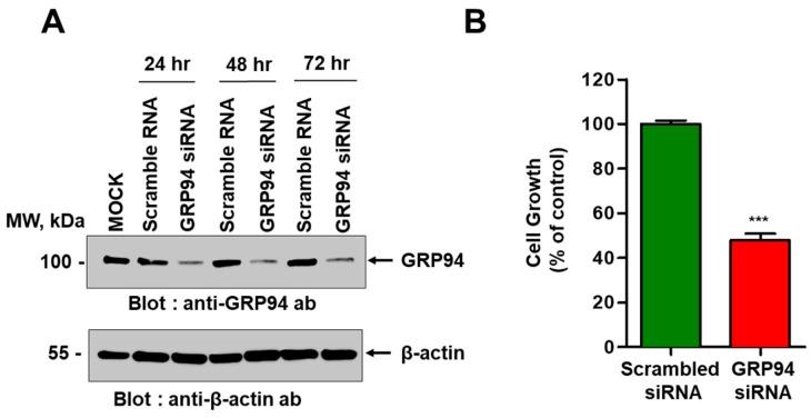 https://cdn.ncbi.nlm.nih.gov/pmc/blobs/c709/6920916/8f0fd2a03b43/biomolecules-09-00681-g003.jpg